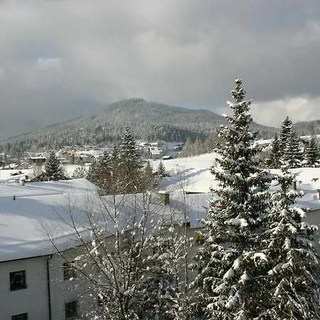 Wildmoos Seefeld in Tirol